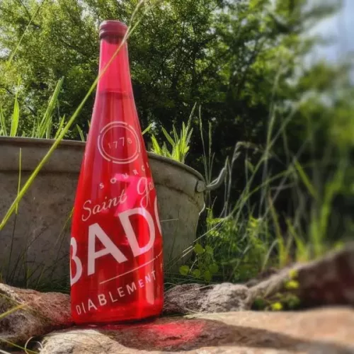 Badoit rouge 750ml sparkling water