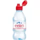 Evian Frozen mineral water 0,33l still in PET bottle 12pc mixed figures