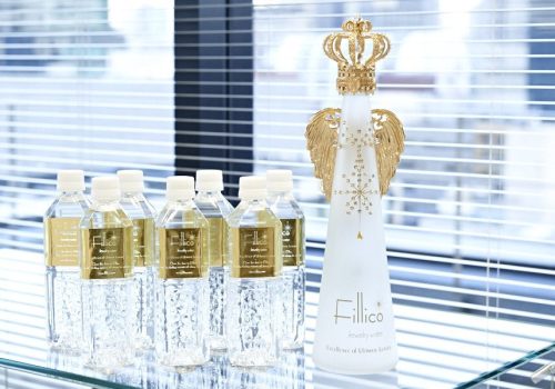 FILLICO Jewelery Water - Excellence of Ultimate Luxury 0,5l PET