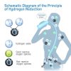 Hydrogen Generator Water Bottle  with SPE/PEM technology and USB charging 350ml