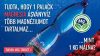 Magnesia természetes magnézium tartalmú szénsavas ásványvíz 1,5l 