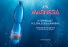 Theodora natural mineral water 0,33l sparkling in PET bottle
