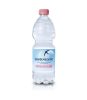 San Benedetto 0,5l mentes forrásvíz