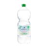 San Benedetto 0,5l still spring water