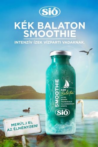 SIó Smoothie Kék balaton 2.5 dl üveg palackban(visszaváltható, Betéti díjas +50.-Ft)