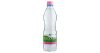 Theodora natural mineral water 0,33l sparkling in PET bottle