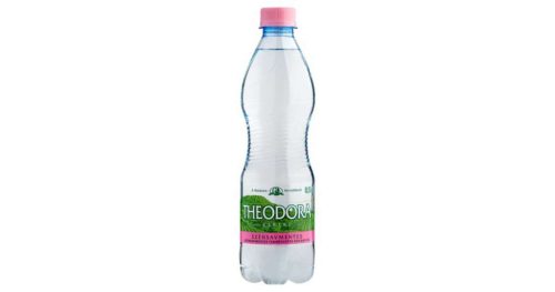 Theodora natural mineral water 0,33l sparkling in PET bottle