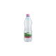 Theodora natural mineral water 0,33l sparkling in PET bottle