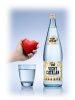 Vichy Catalan mineral water 1l sparkling in glass