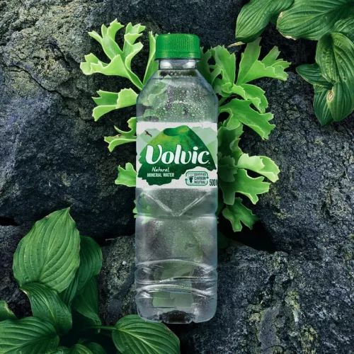 Volvic 0,5l natural mineral water 