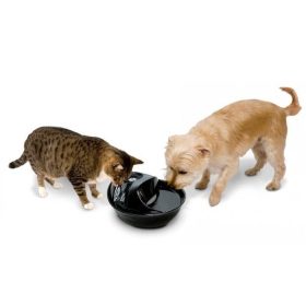 Kisállat vizek (kutya, macska)