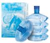 Fromin Glacial Water 10l still in PET bottle