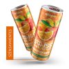 SWISS MULTIVITAMIN DRINK 250ML