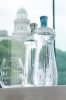 Vis Vitalis mineral water 1,2l sparkling in PET bottle